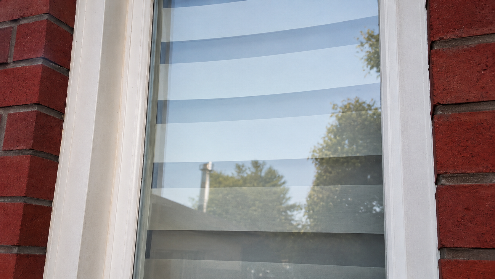 Window after cleaning — crystal clear, streak-free